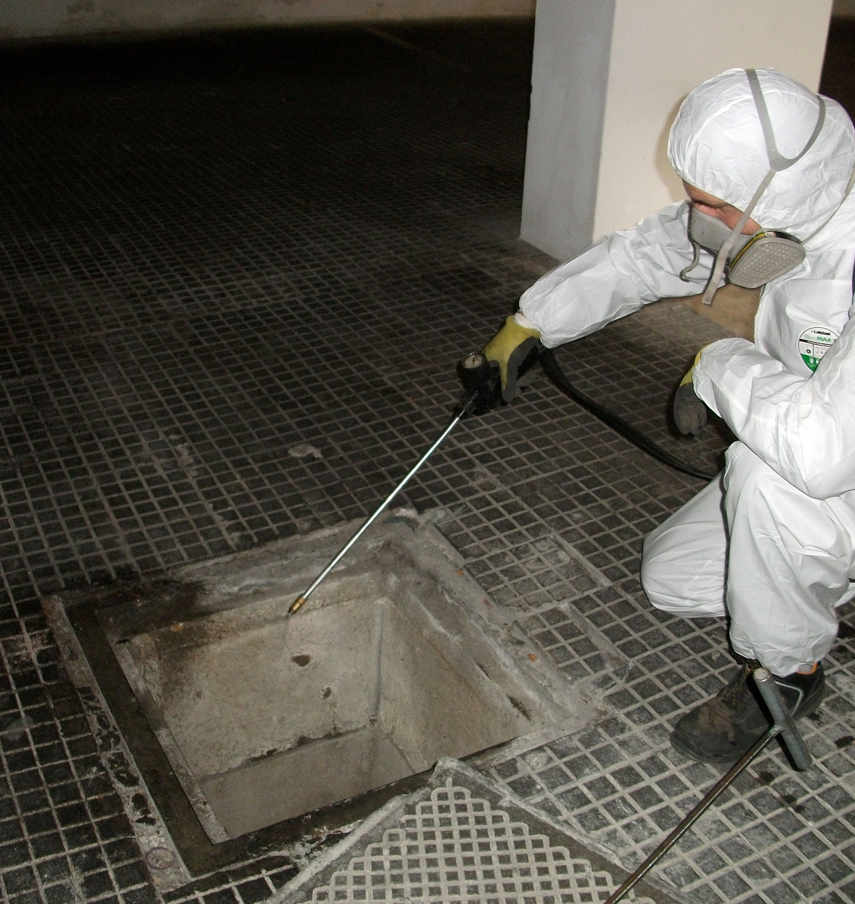 S.I.S. Roma - Disinfestazione di ambienti da insetti, derattizzazione e allontanamento serpenti e uccelli