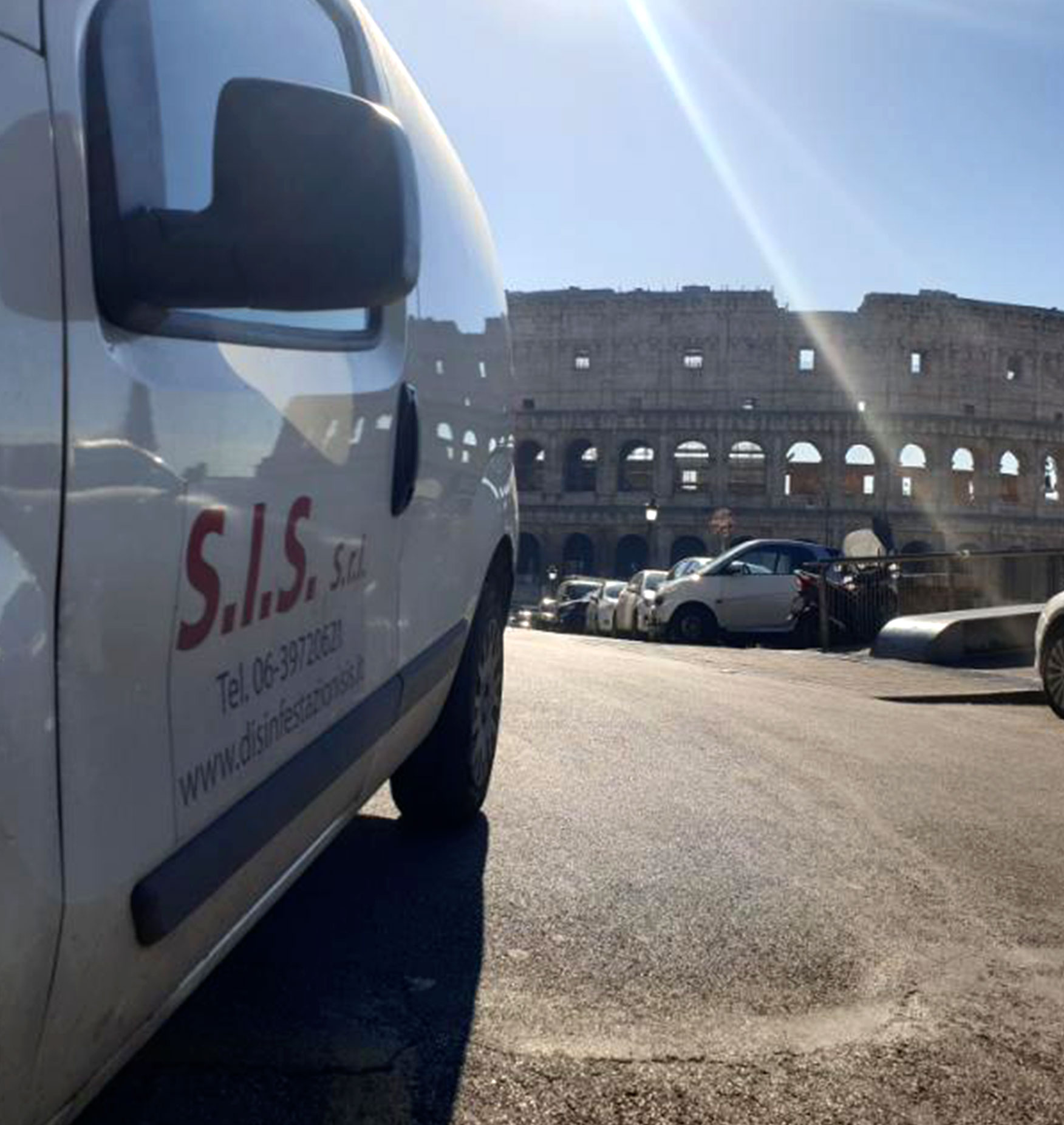 S.I.S. Roma - Disinfestazione di ambienti da insetti, derattizzazione e allontanamento serpenti e uccelli